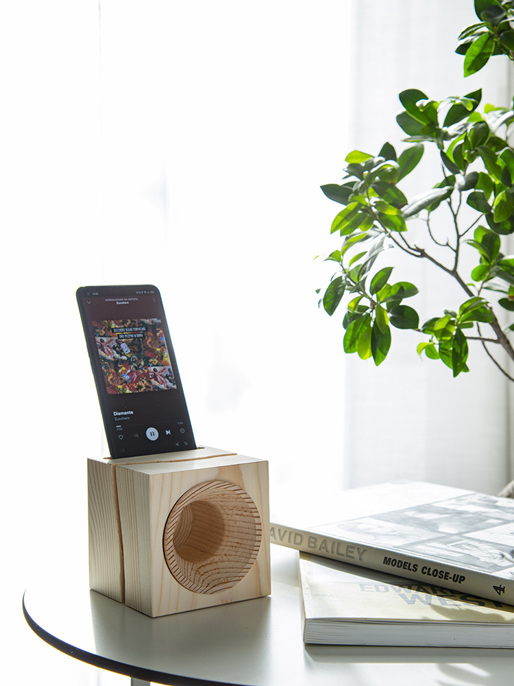 Ascolta la tua musica preferita con VAIA Cube e aiutaci a riforestare la Foresta Levissima